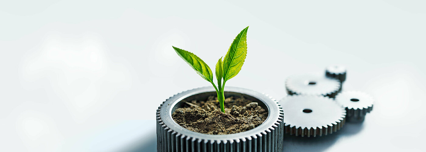 From a metal gear grows a green plant
